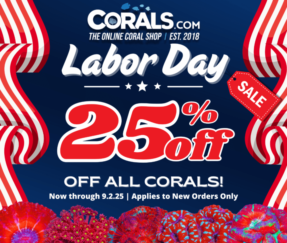 Labor Day _25.png