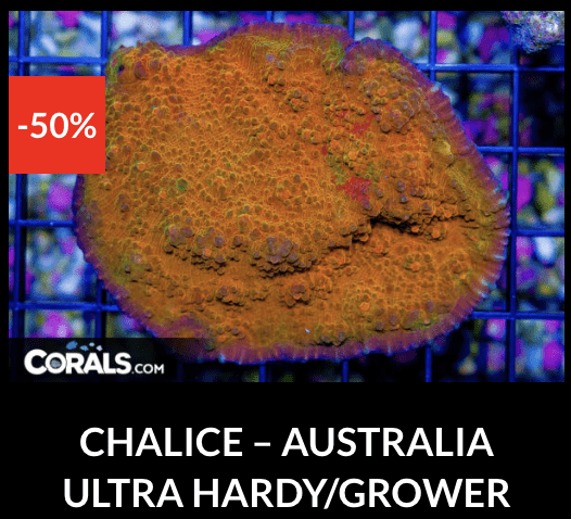 Screenshot 2026-04-10 at 10.40.24 PM.png