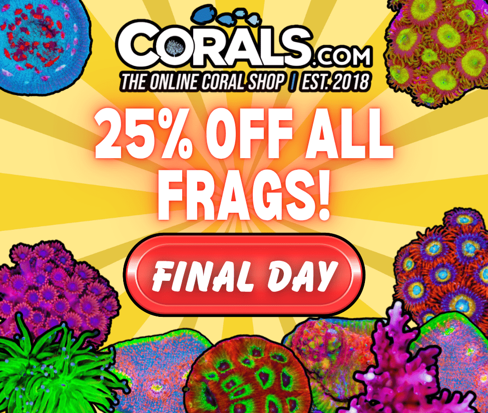 final day frag sale.png