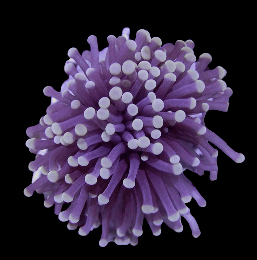 PhotoRoom-20220322_160511.png PhotoRoom-20220322_160511.png