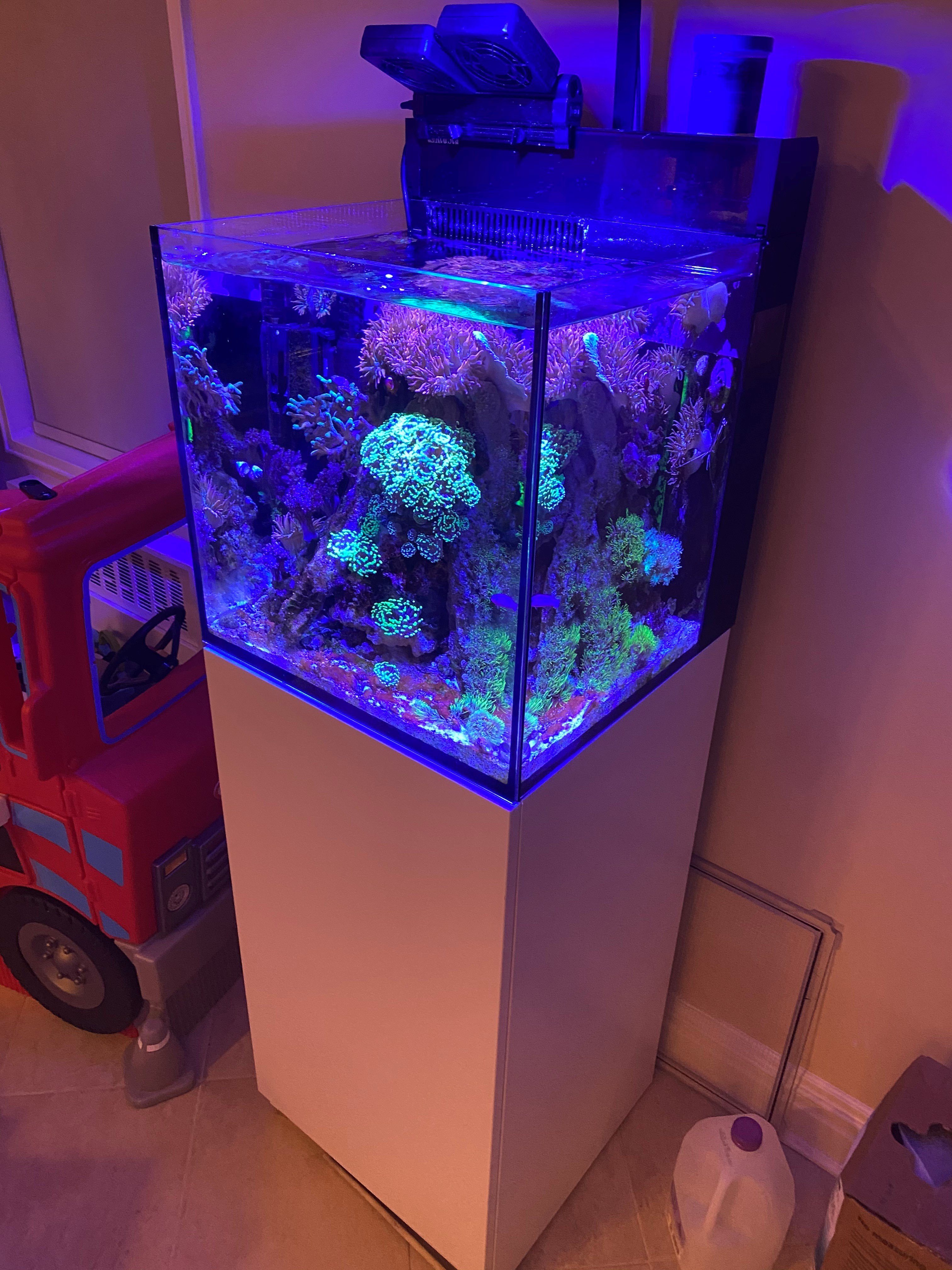 Red Sea Nano 1.jpg