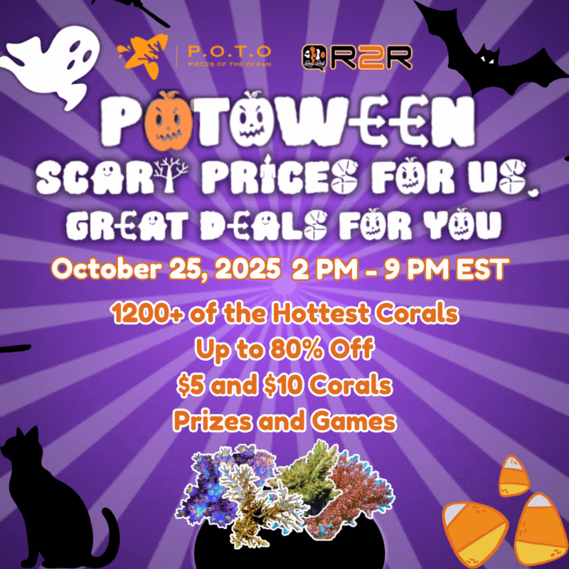 Copy of POTOween 800x800.gif