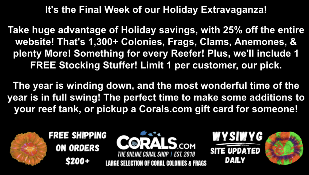 Screenshot 2025-12-19 at 12.36.19 PM.png