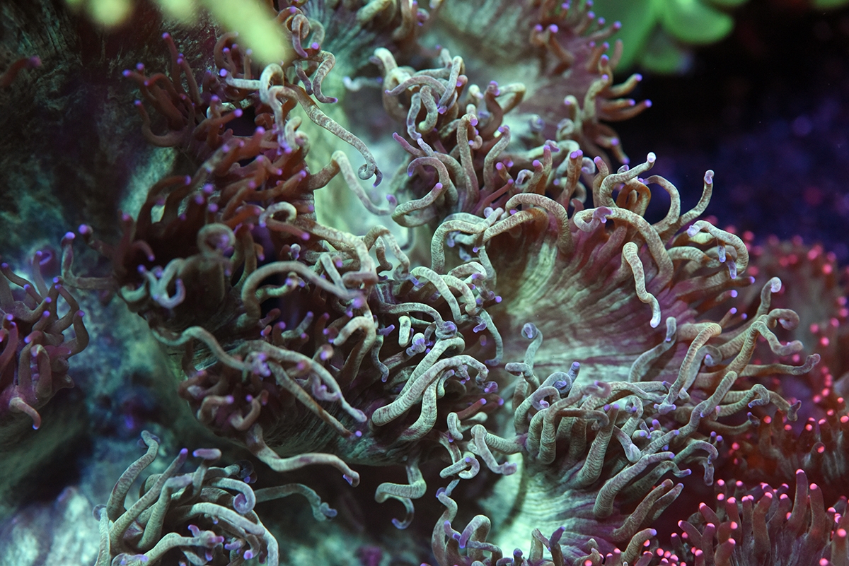 DSC_3245.JPG