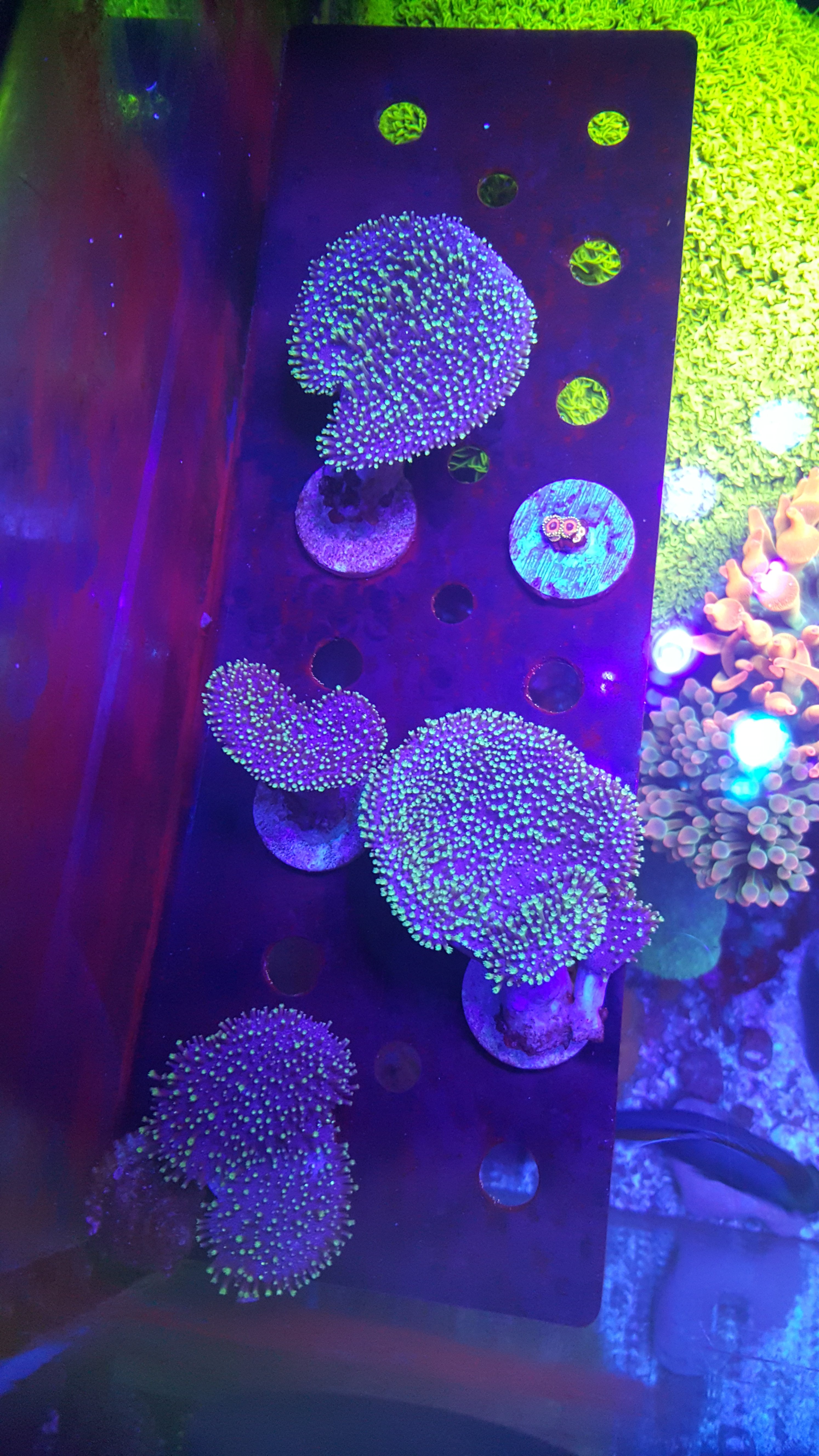 20201001_150815.jpg