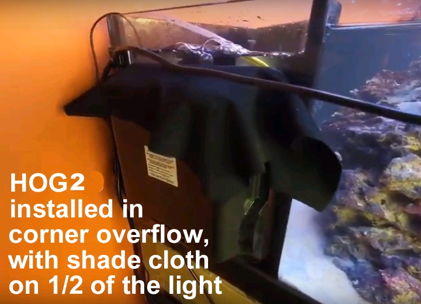 h2 corner.jpg