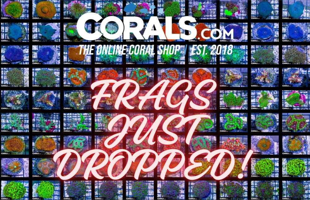 FRAGS JUST DROPPED!.jpg