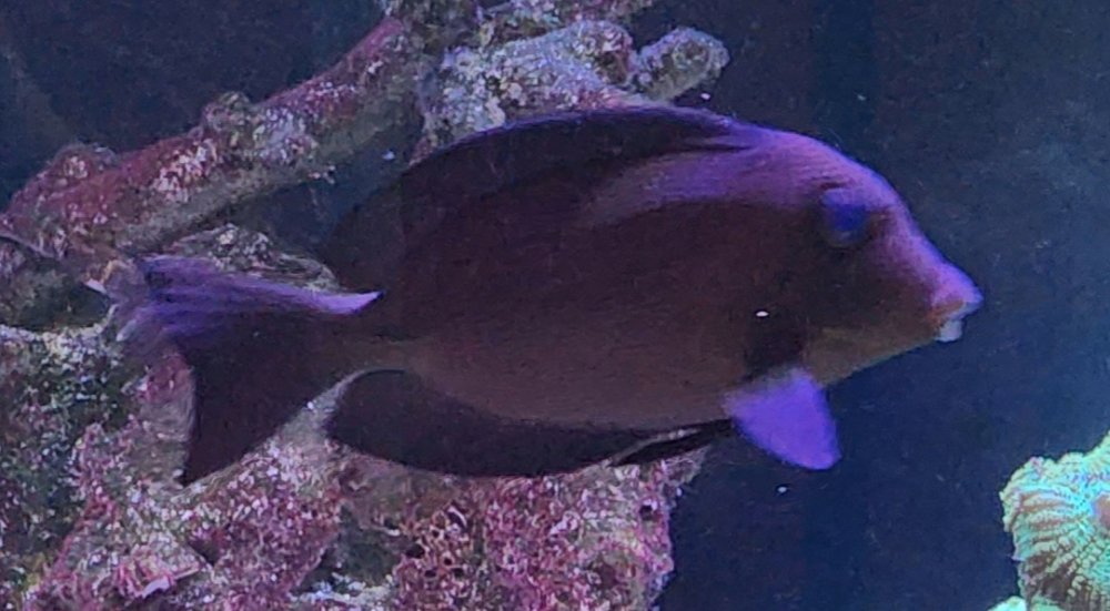 20230629_172111.jpg