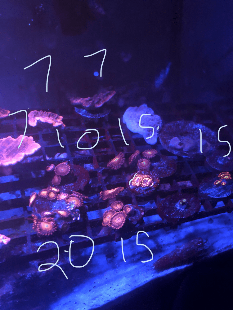 1690509094132.png