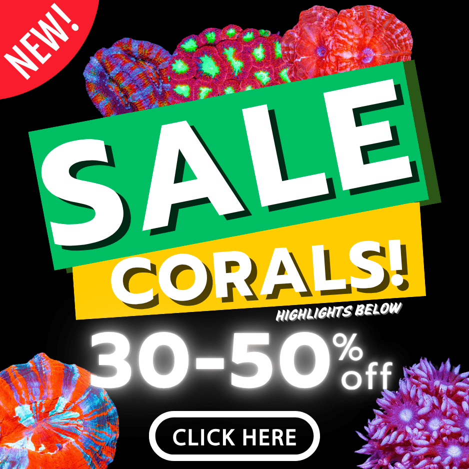 sale poster(20).png