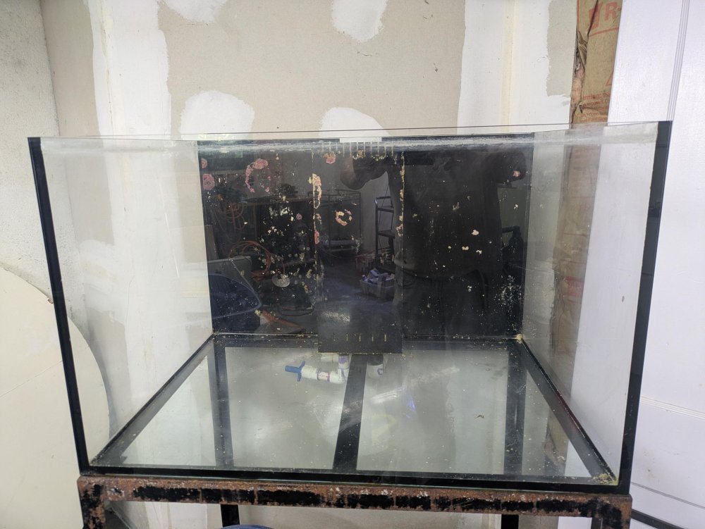 Tank Center.jpg
