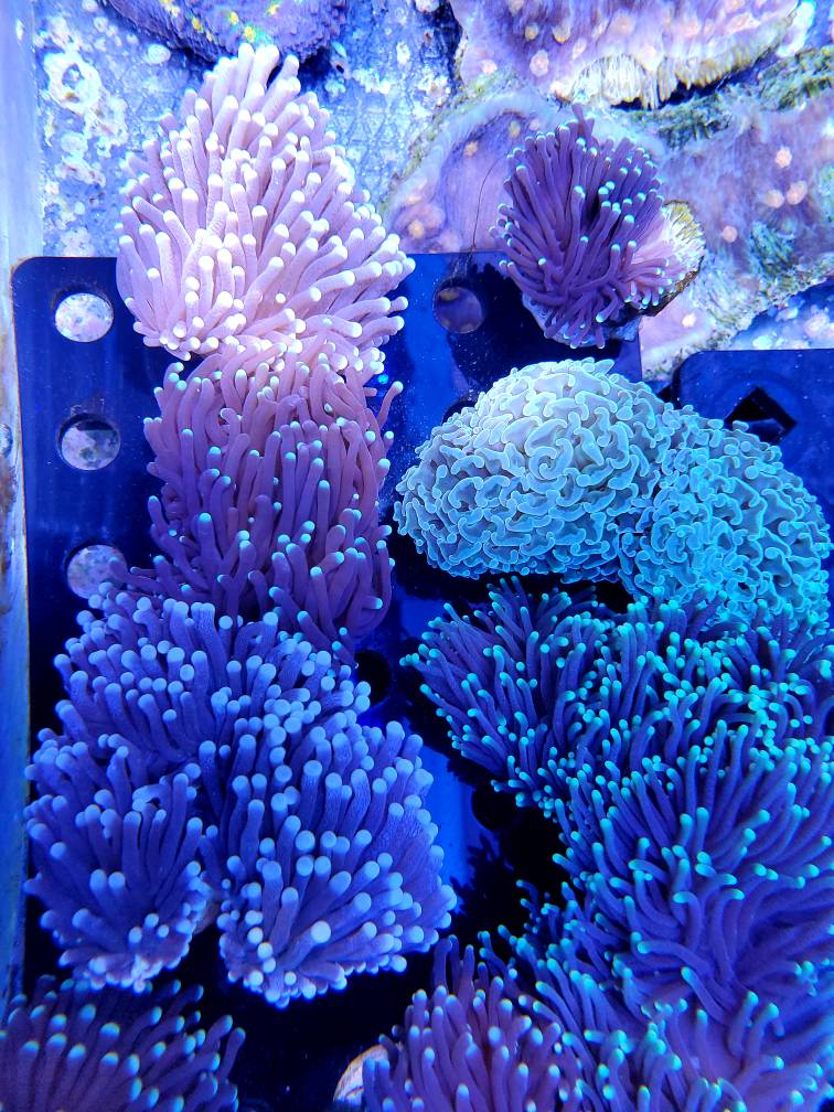 20191002_113852.jpg