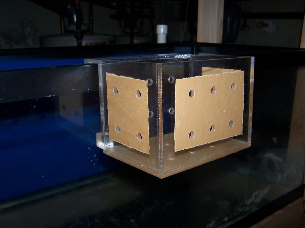 Frag container/fish separator 20