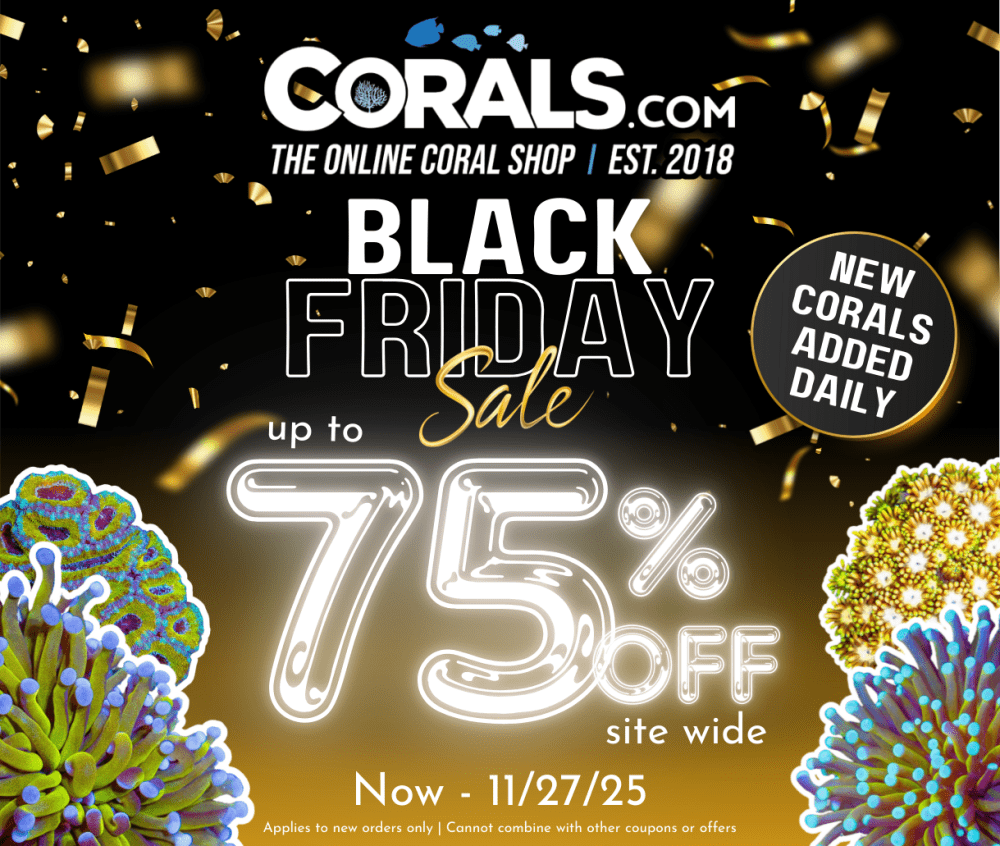 Black Friday 2025(1).png