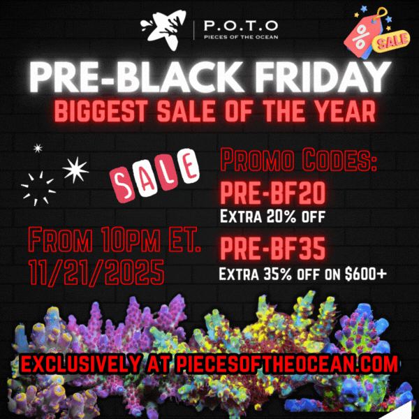 Pre-Black Friday 600x600 (1).gif Pre-Black Friday 600x600 (1).gif