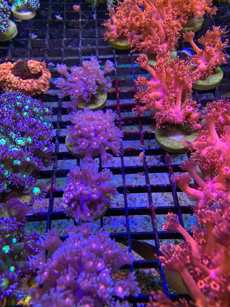 WhatsApp Image 2022-05-06 at 5.44.10 PM (4).jpeg