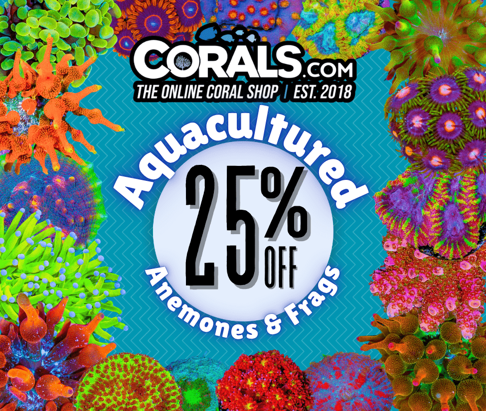 AQ Sale(1).png AQ Sale(1).png