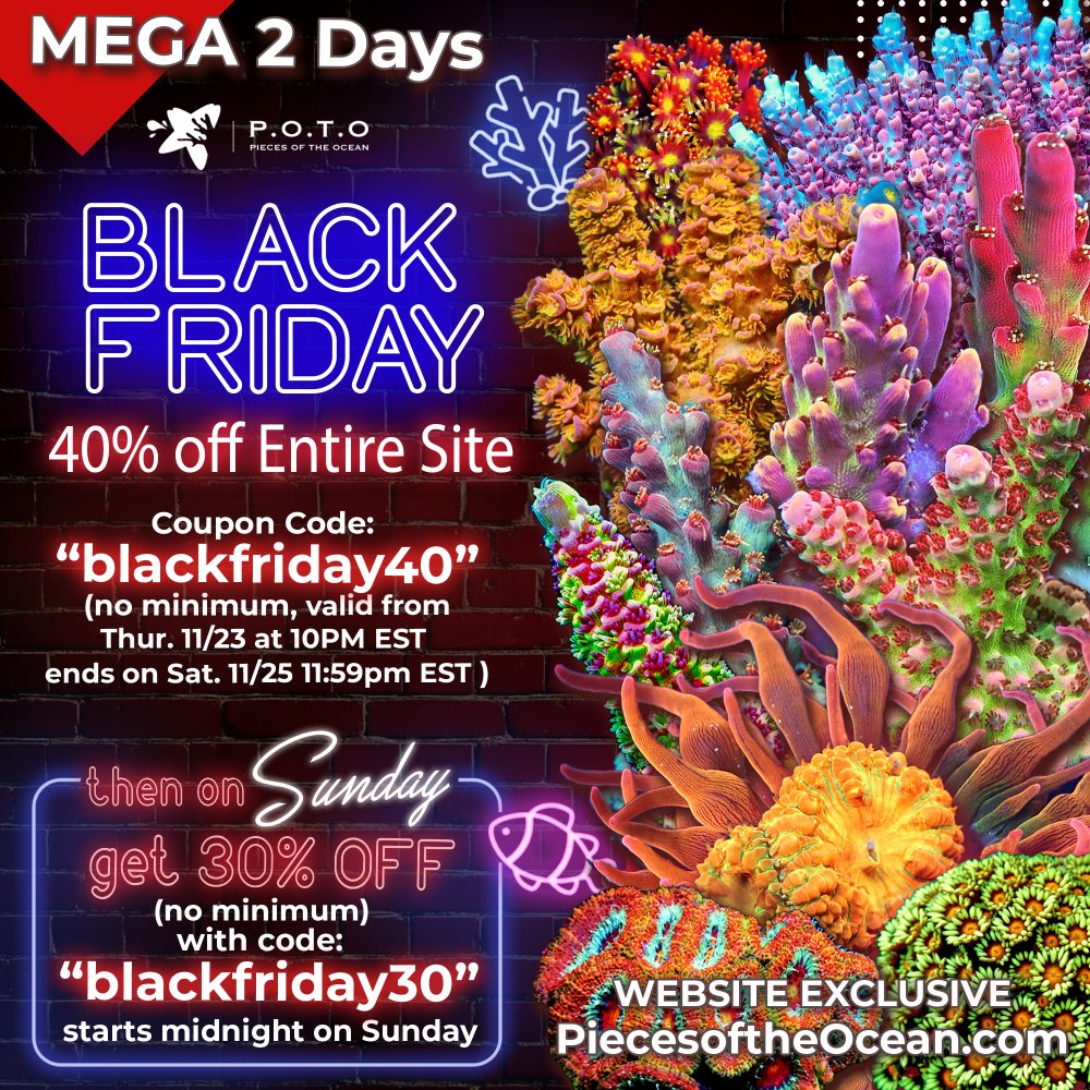 BlackFriday23-40off.jpg