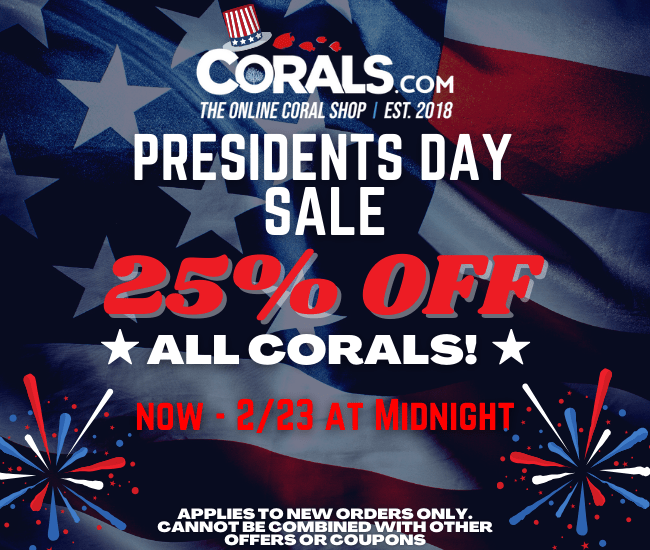 Presidents Day.png Presidents Day.png