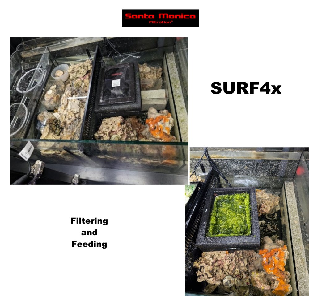 s4x closed and open.jpg