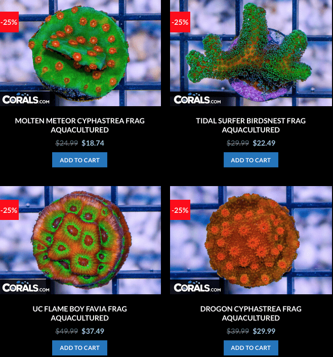 Screen Shot 2023-01-17 at 8.59.22 AM.png