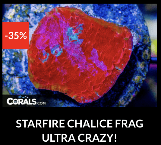 Screenshot 2026-04-09 at 7.10.33 PM.png