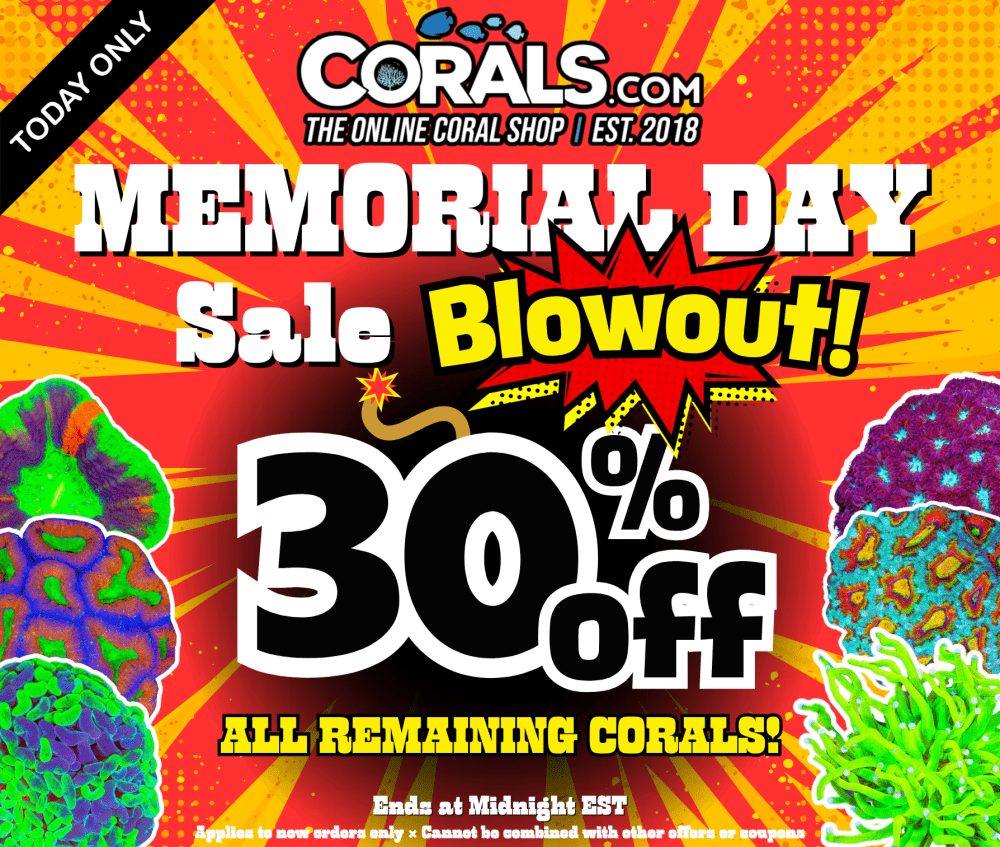 Memorial Day Blowout '25.png