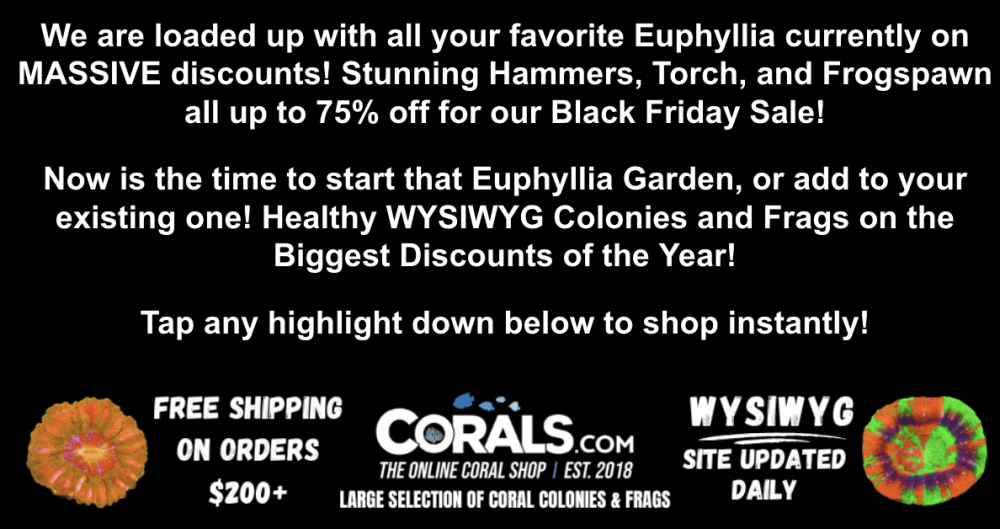 Screenshot 2025-11-21 at 4.22.22 PM.png