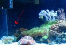 IMG_1305_2.JPG