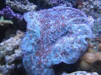 IMG_0041.jpg