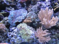IMG_0047.jpg