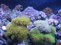 IMG_0050.jpg