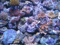 IMG_0062.jpg