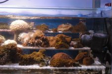 mini-Picture 004.jpg