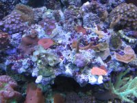 IMG_0061.jpg