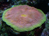 DSCF0613.JPG
