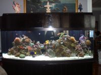 Full tank shot 155 Bow.jpg