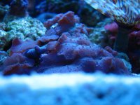 IMG_1359.JPG