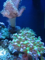 IMG_1366.JPG