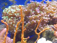 DSCN3081.jpg