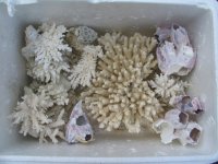 acro box.JPG