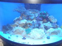 DSCF5642.JPG