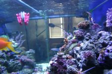 TANK THREAD PICS 008.jpg