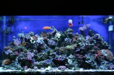 TANK THREAD PICS 009.jpg