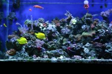 TANK THREAD PICS 012.jpg
