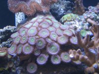 Tank Upgrade 009.jpg