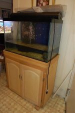 fishtank3.jpg