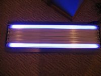 TEK on floor actinics lit.jpg