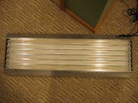 TEK light on floor, bulbs off.jpg