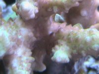 IMG_0638.JPG